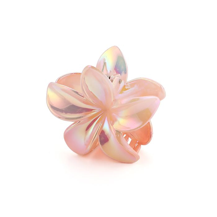 Haarklem Bloem Koraal