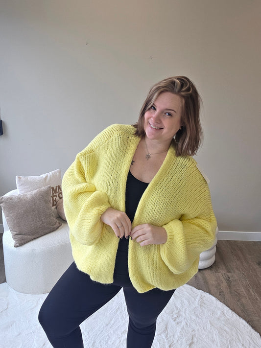 Hartjes Vesten (In 5 kleuren)