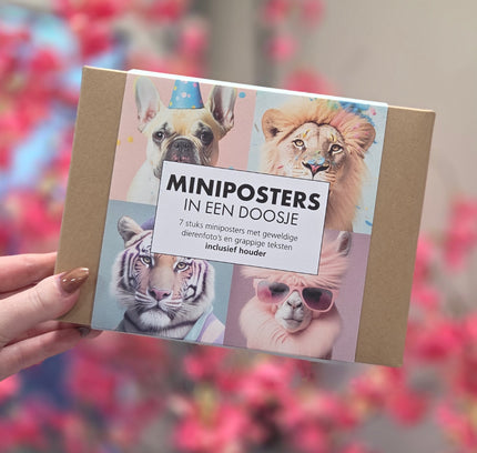 Mini Posterbox 2
