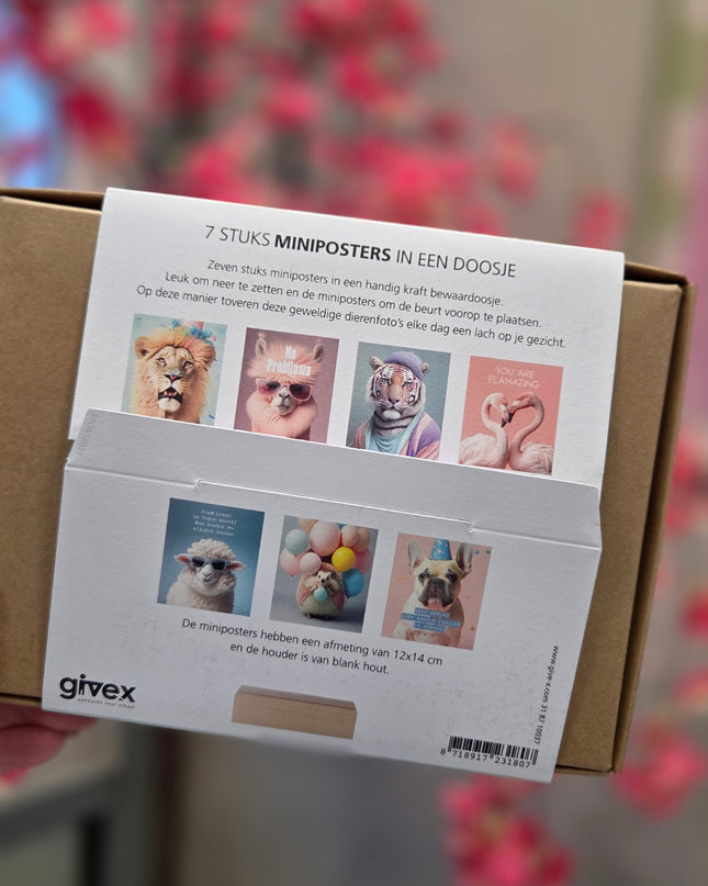 Mini Posterbox 2