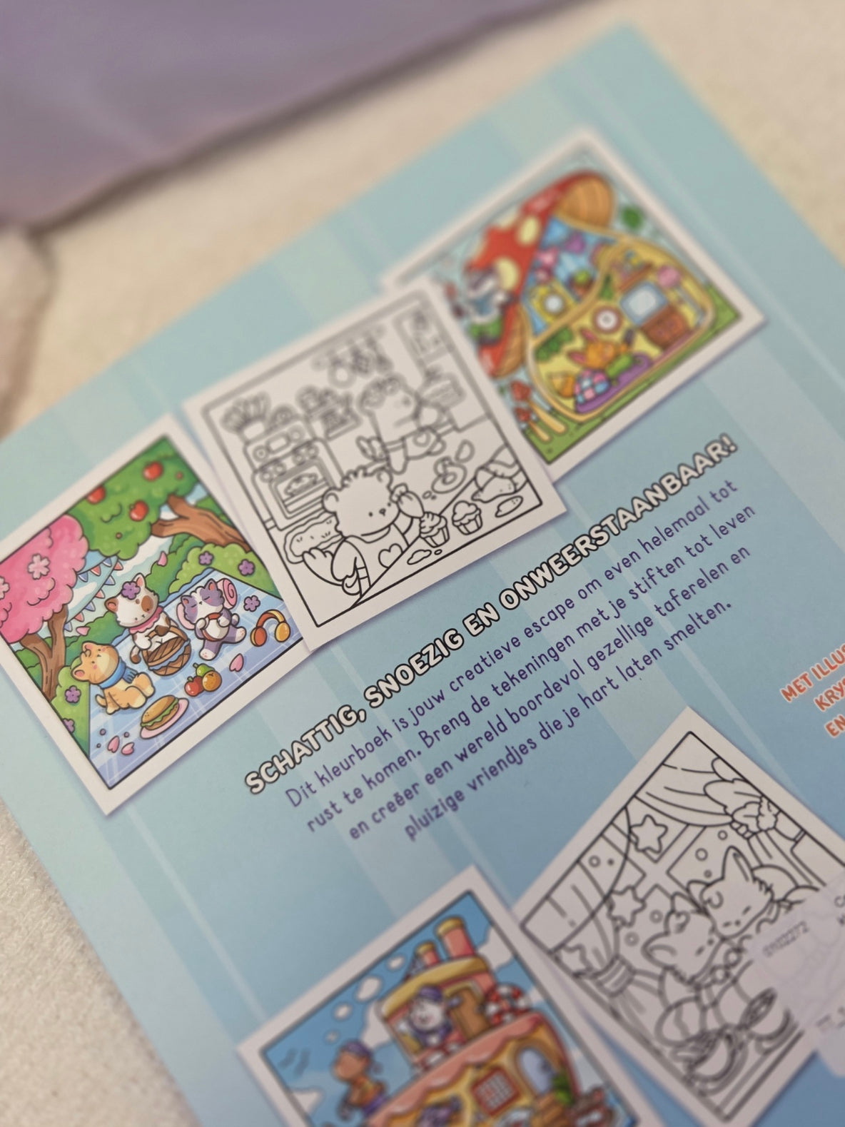 Comfy & Cute |Jade Summer