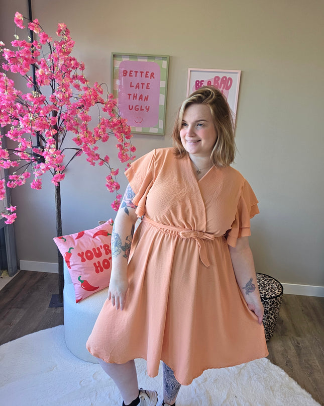 Sophie Short Dress (in 4 kleuren)