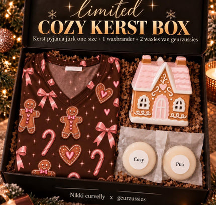 The cozy kerst box gingerbread house