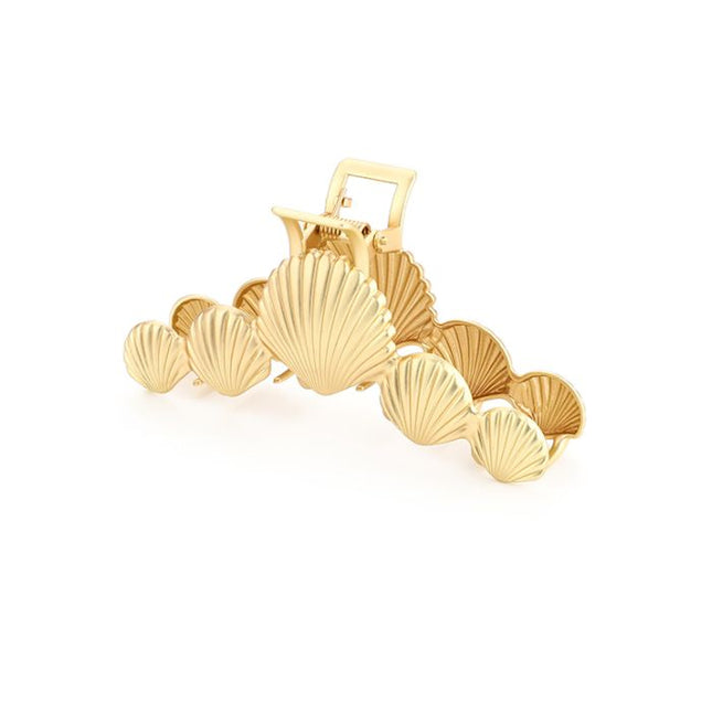 Haarklem Seashells
