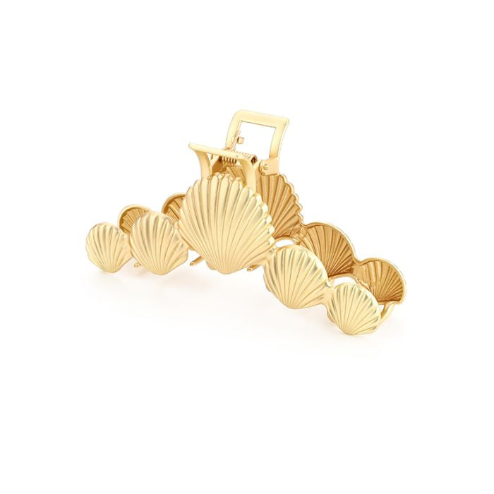 Haarklem Seashells