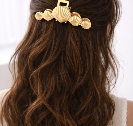 Haarklem Seashells